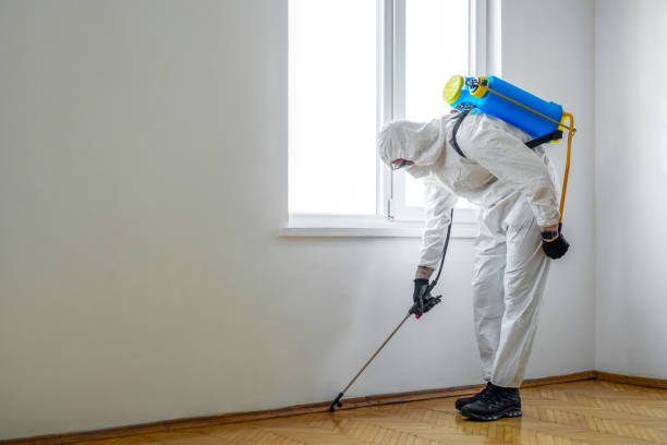 Professional Pest Control in Westfield, WI